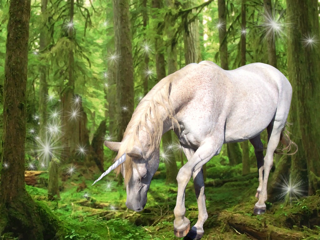 Um unicórnio entre os cavalos