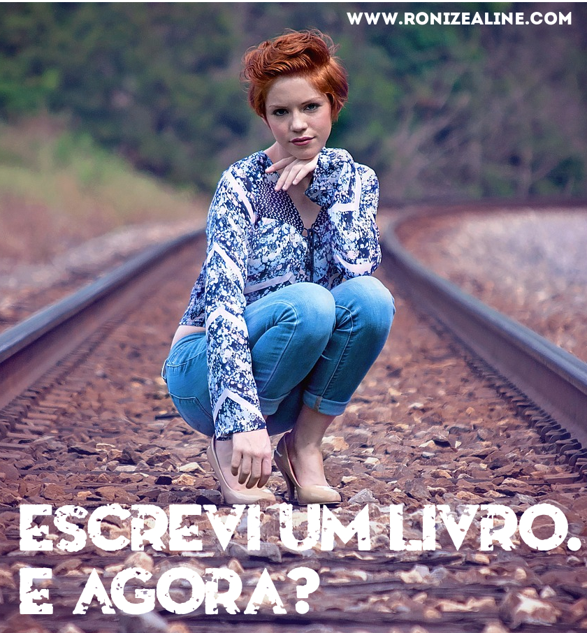Escrevi um livro. E agora?